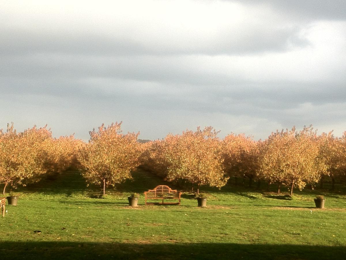 ジョーダン The Orchard Croft Boutique Country Retreat Bed & Breakfast エクステリア 写真
